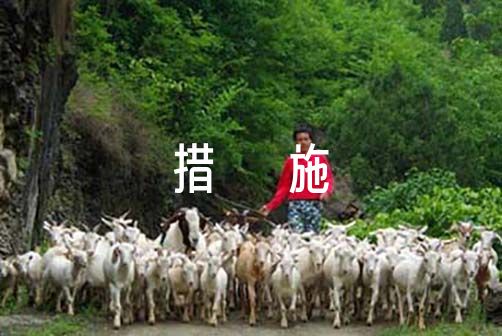 如何利用篮球青训营提升个人技术和团队协作?_2
